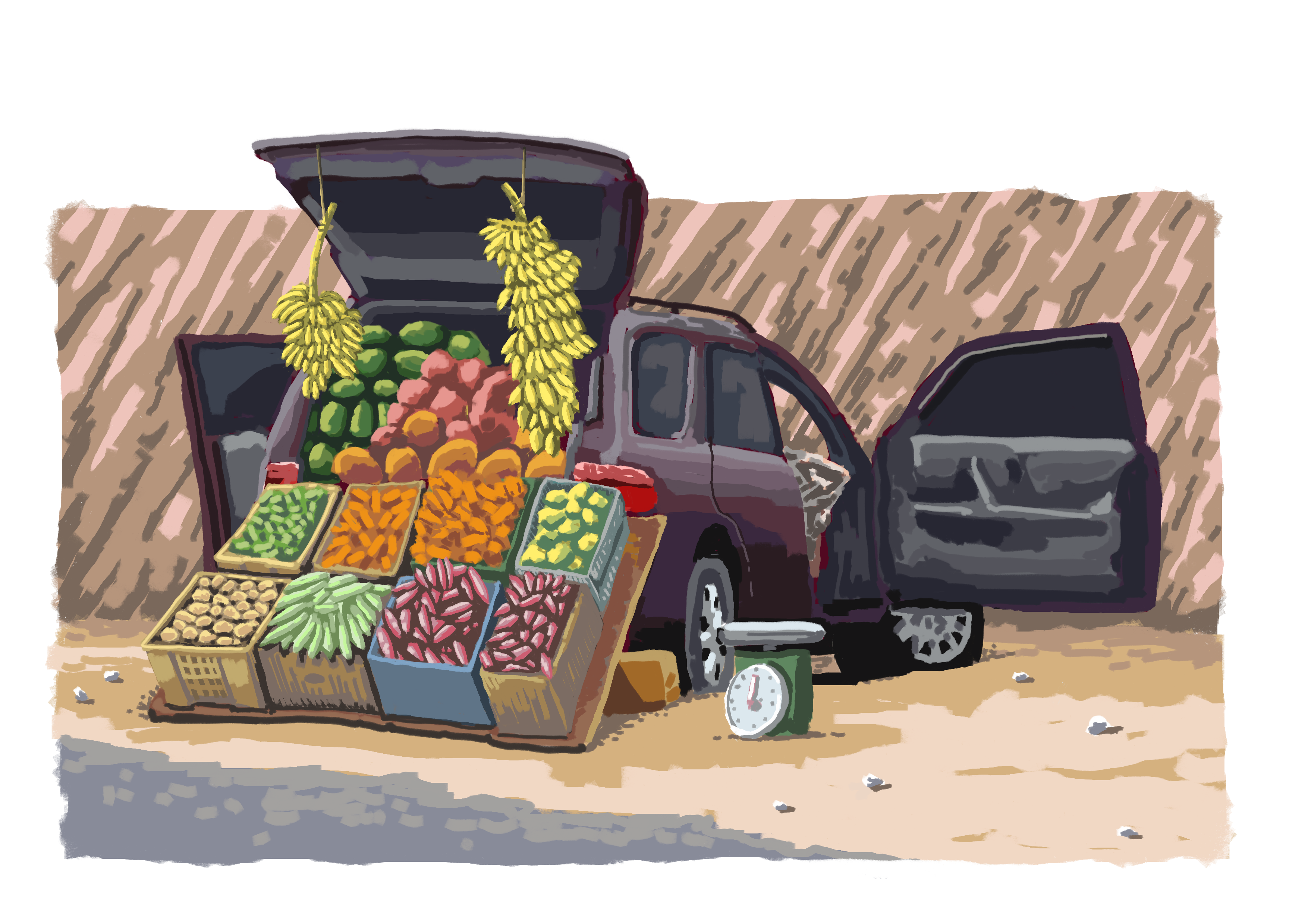 Fruit Boot