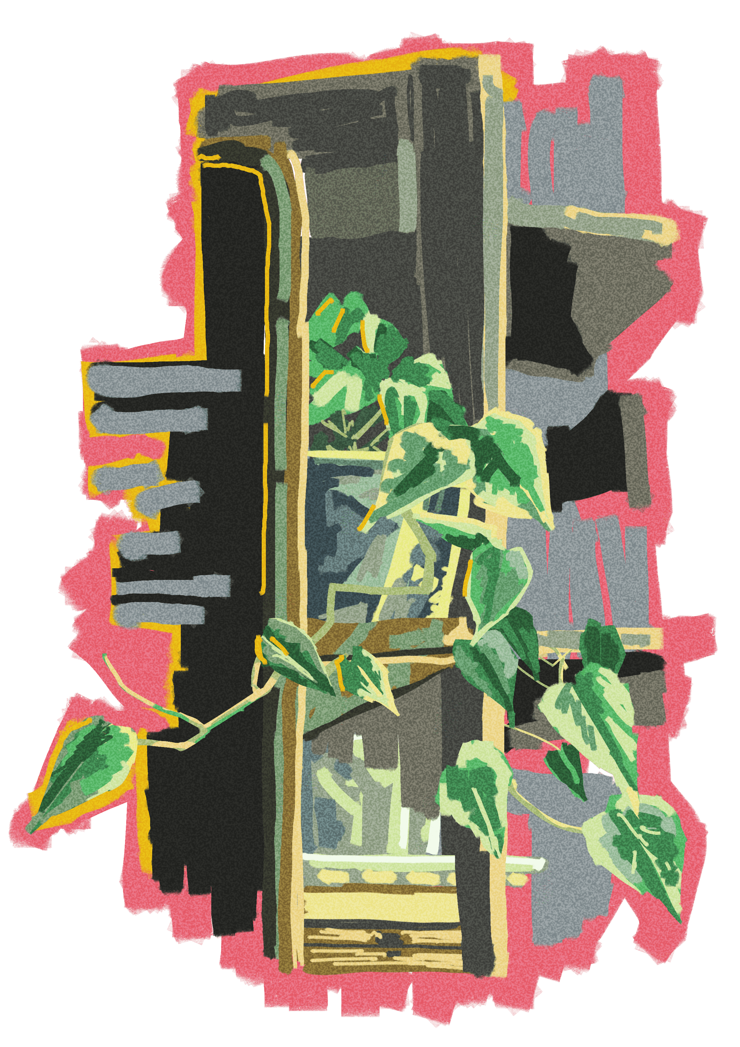 Philodendron