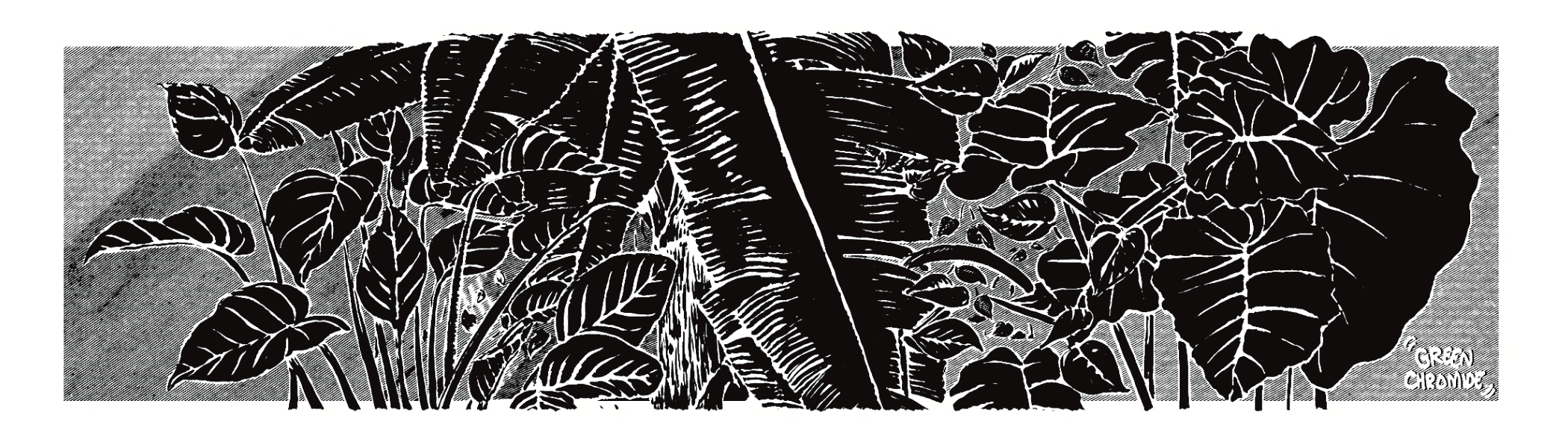 Leaves, Silently