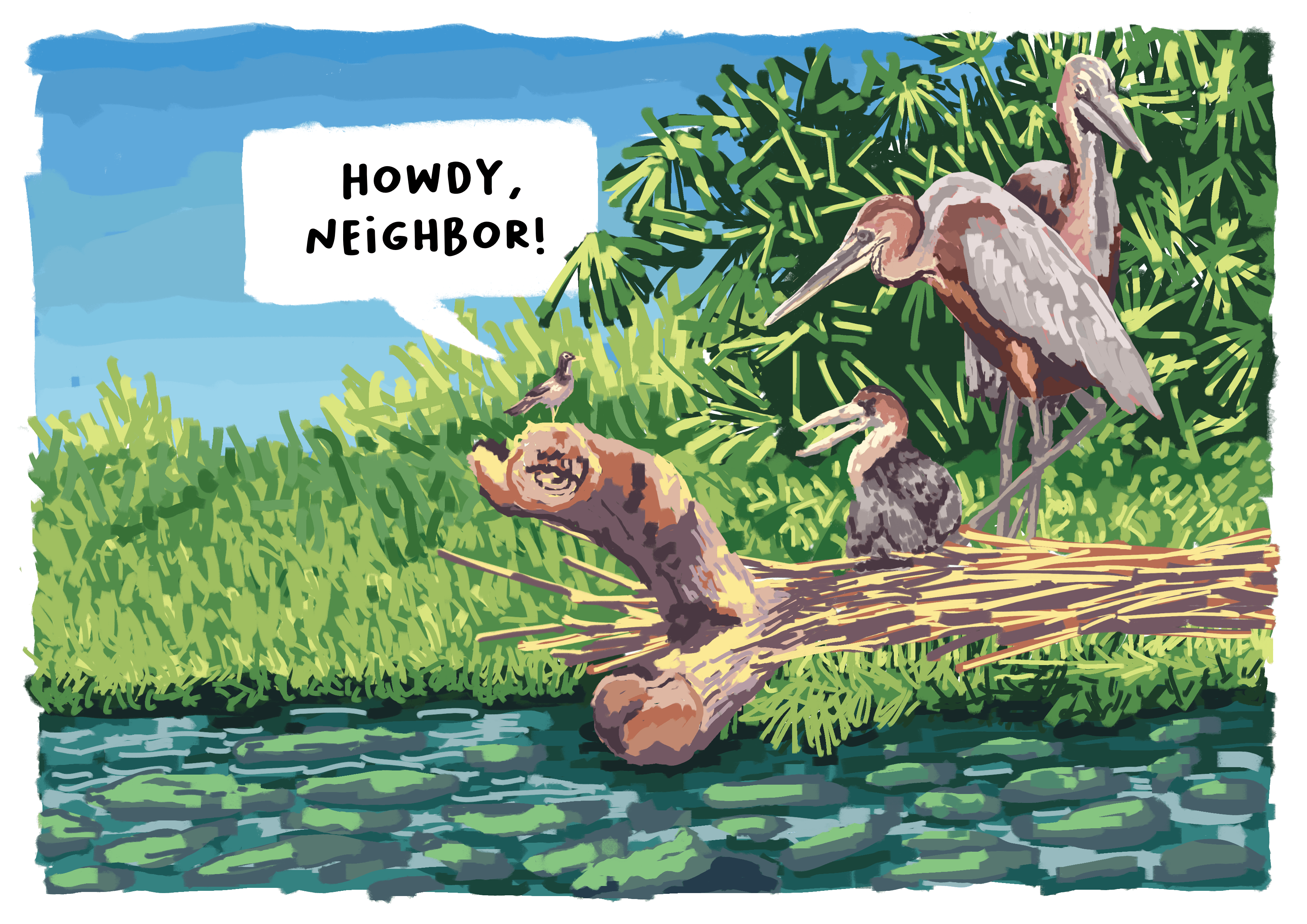 Howdy!